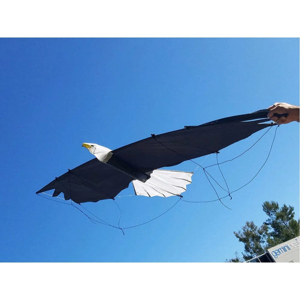 Revolution Eagle har et imponerende vingefang, og ligner virkelig en rigtig ørn. Her holdes den frem i strakt arm.