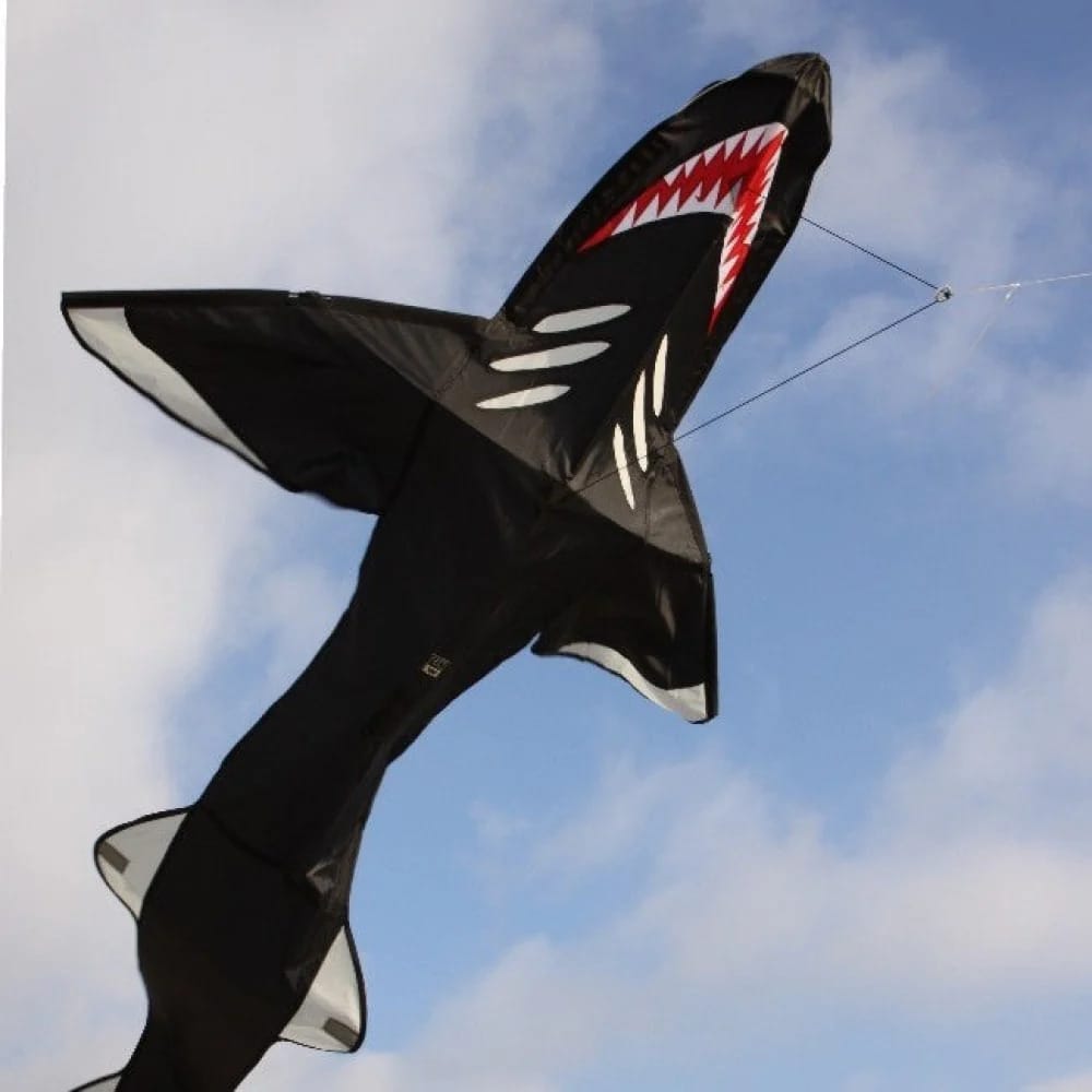 I luften er Sammy Shark en frygtindgydende haj, som svæver stille rundt. Sammy er en et-linet drage, så den er nem at styre.