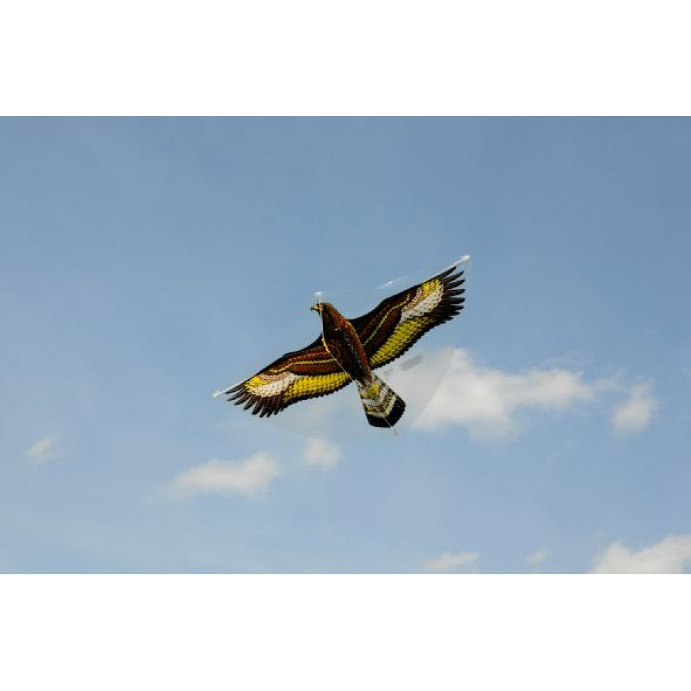 Günther Golden Eagle er her i sit rette element oppe under skyerne og kigger ned på jorden