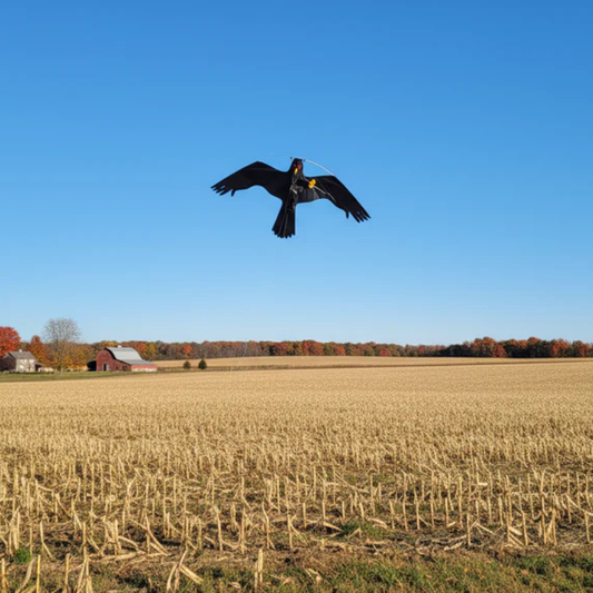 Wikz Mågeskræmmer med glasfiberstang og line i sort, opsat over dansk mark