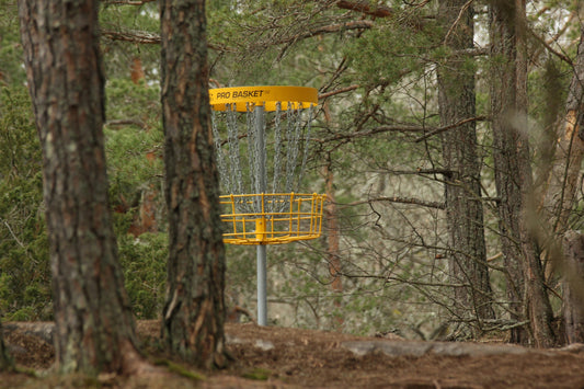 De Bedste Frisbee Golf Klubber I Danmark