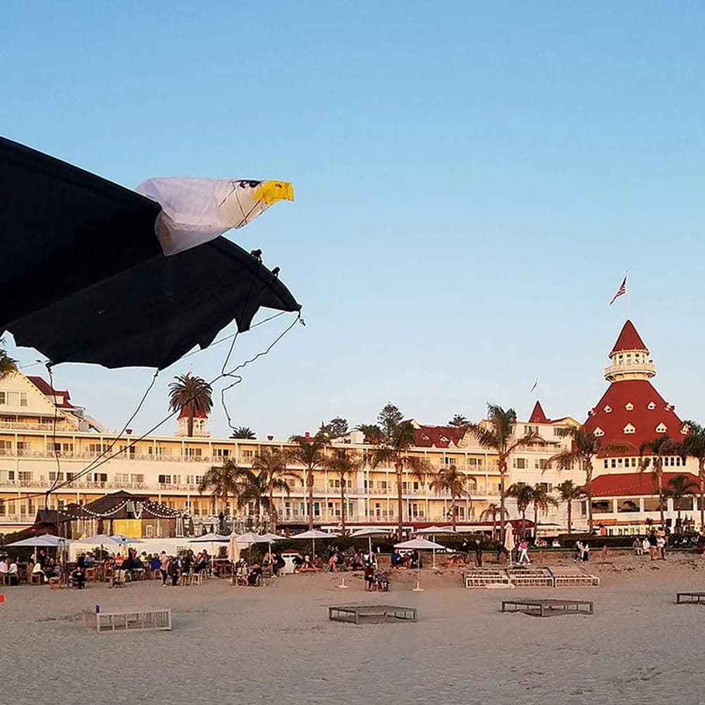 Revolution Eagle kan alt, også flyve ved stranden med meget blæst og kastevinde. Her ses den i øjenhøjde i luften.